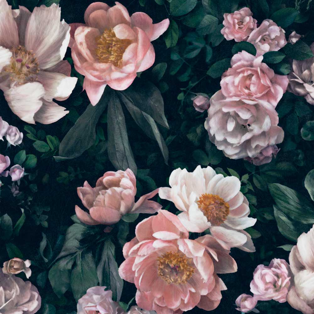 Boråstapeter Rosor Tapete NEW DAWN ROSE von Borastapeter auf DECO.de