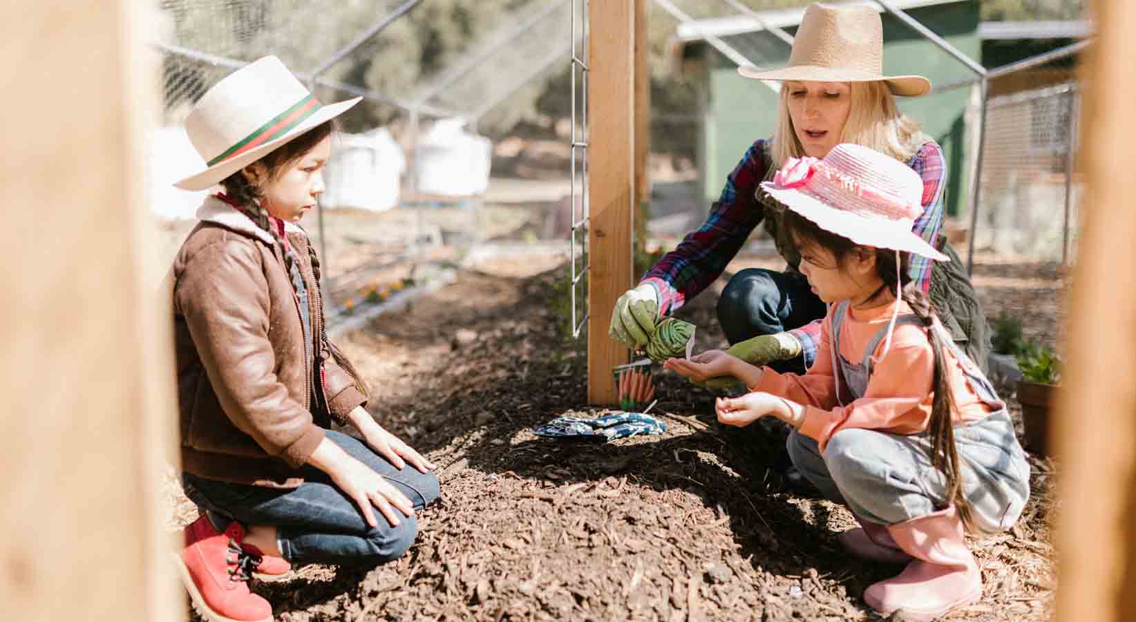 Agricultural Literacy Decoda Literacy Solutions