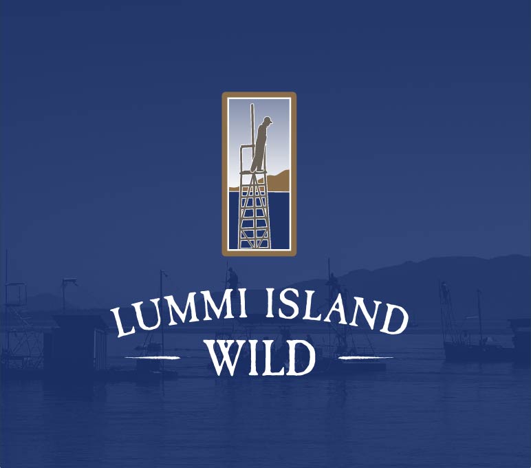 Work Decode Creative