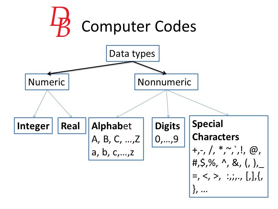 Different Types Of Coding