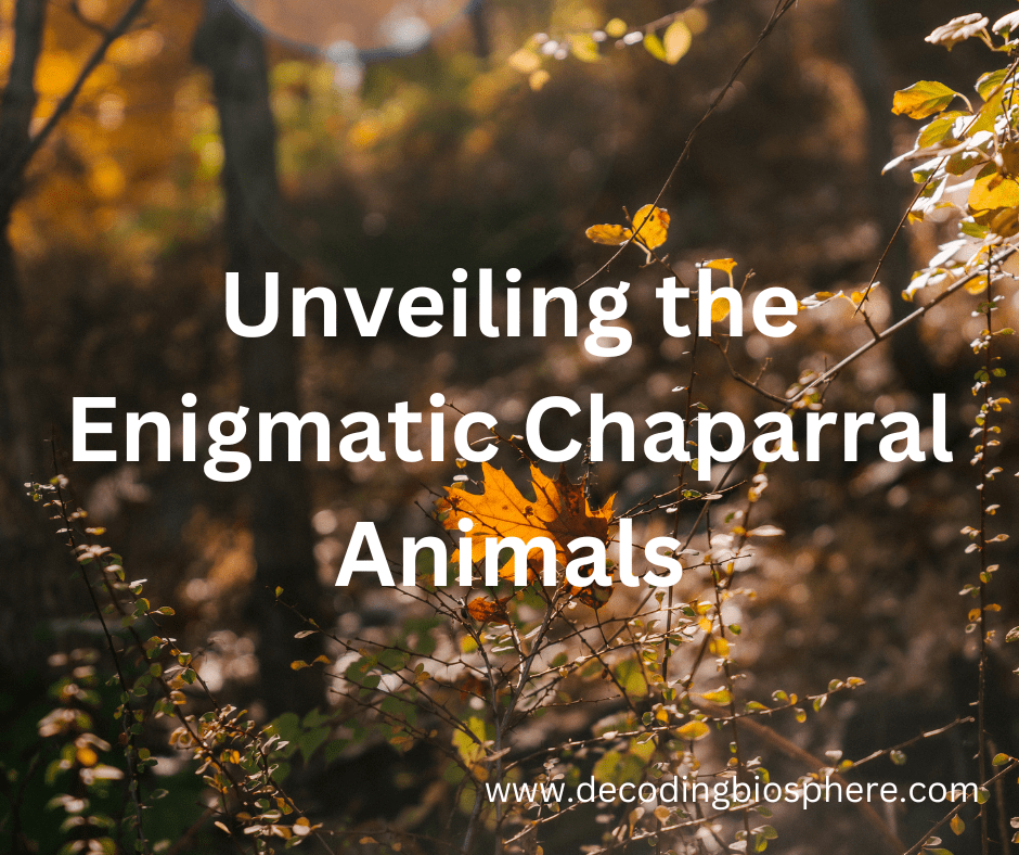 Unveiling the Enigmatic Chaparral Animals Decoding Biosphere
