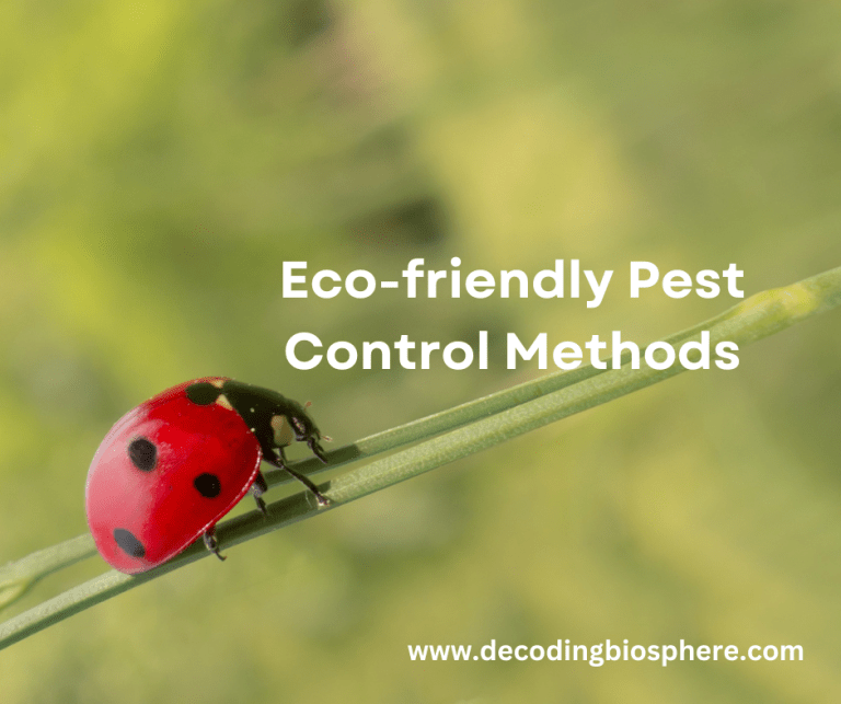 Eco friendly Pest Control Methods Decoding Biosphere