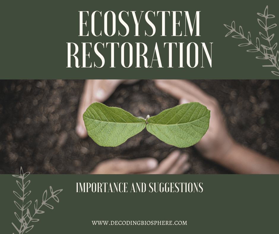 Ecosystem Restoration Importance and Suggestions Decoding Biosphere