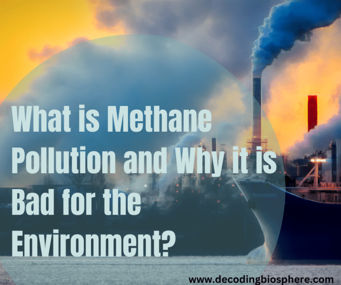 What is Methane Pollution and Why it is Bad for the Environment