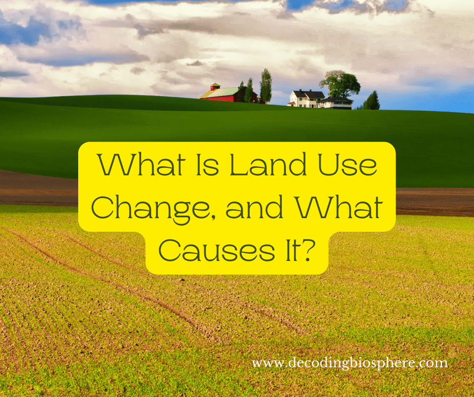 What Is Land Use Change, and What Causes It? Decoding Biosphere