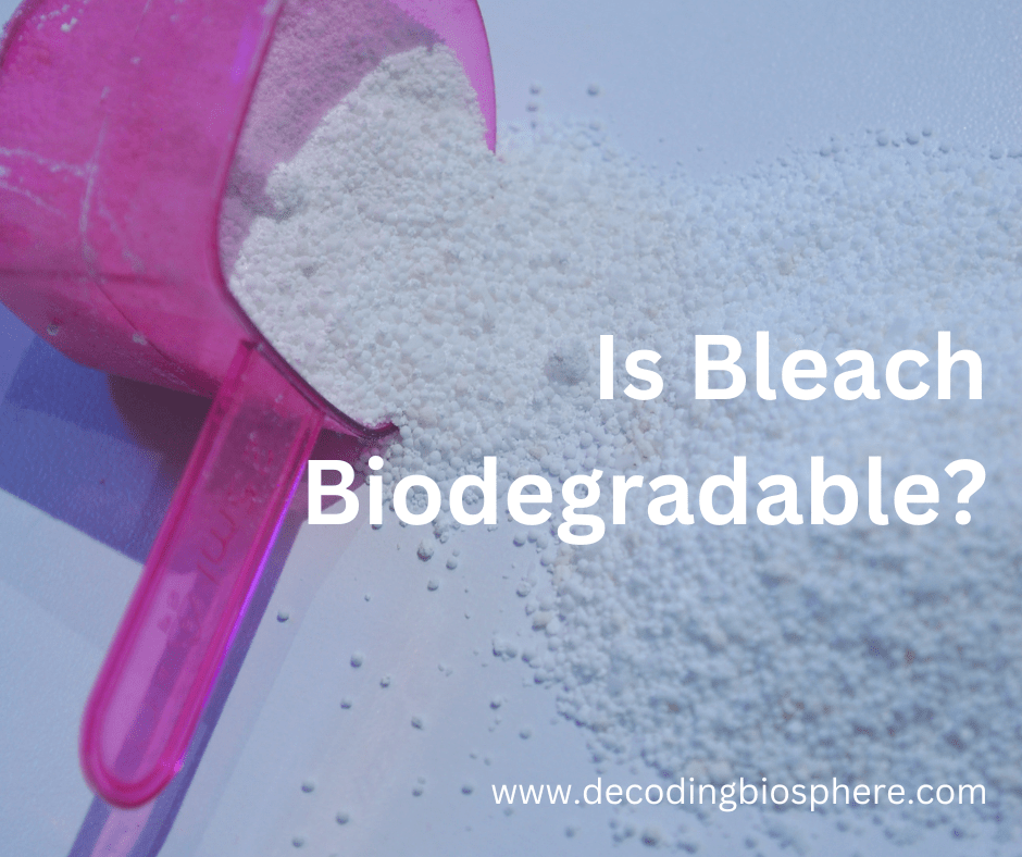 Is Bleach Biodegradable? Exploring its Environmental Fate and
