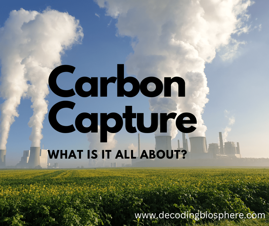 Carbon Capture What is it all About? Decoding Biosphere