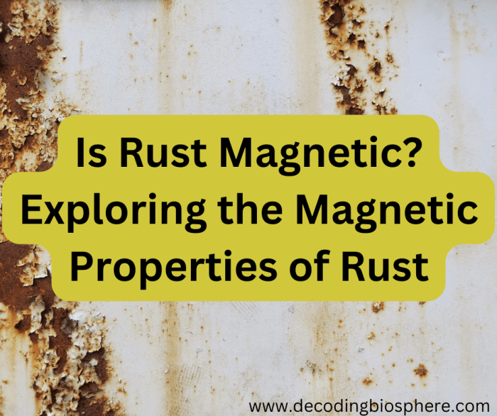 Is Rust Exploring the Properties of Rust Decoding