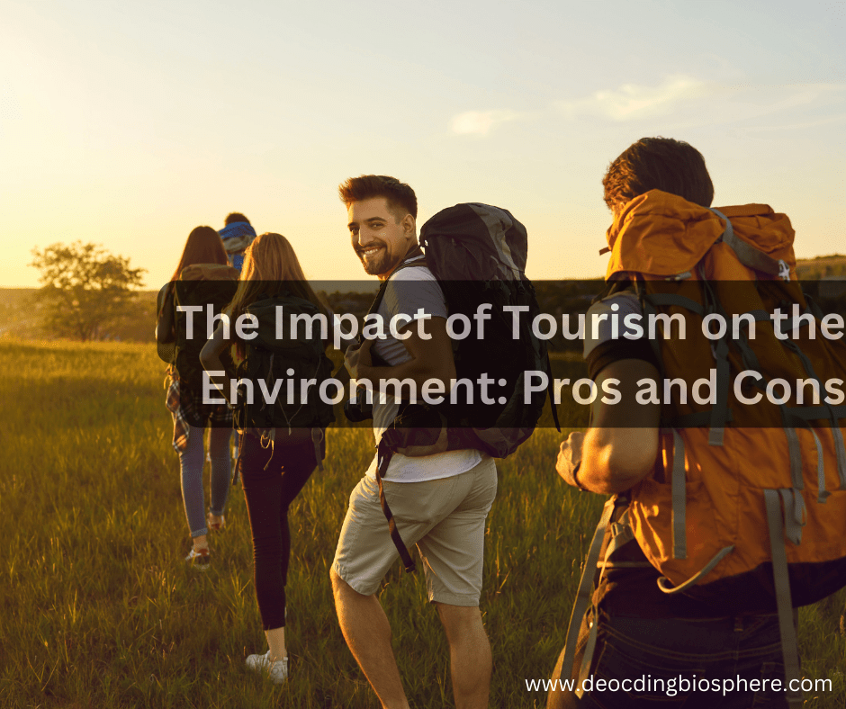 The Impact of Tourism on the Environment Pros and Cons Decoding