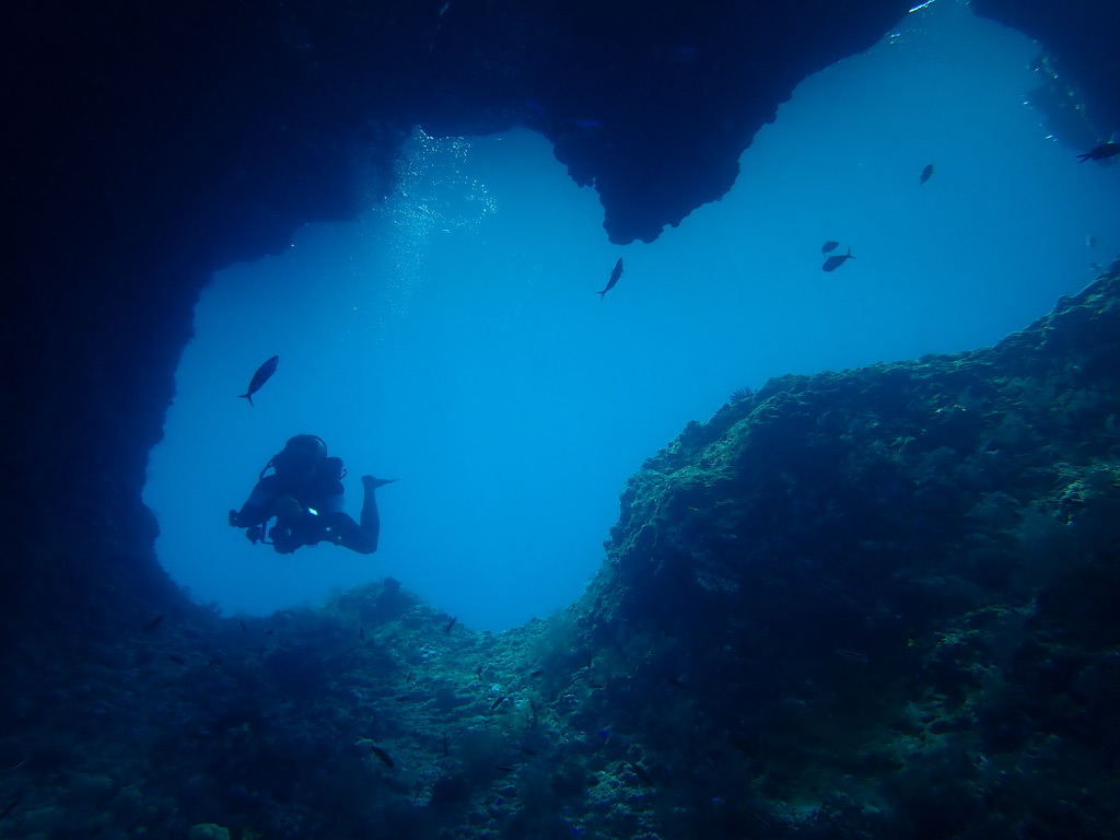 45Lb Twinset wing Deco