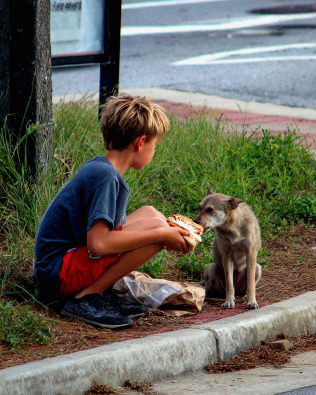 My Son Secretly Shared His Lunch With a Stray Dog—Then a Red SUV Pulled(09)