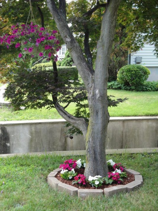 Landscape Perfection 15 Stunning Ideas for Decorating Around Trees