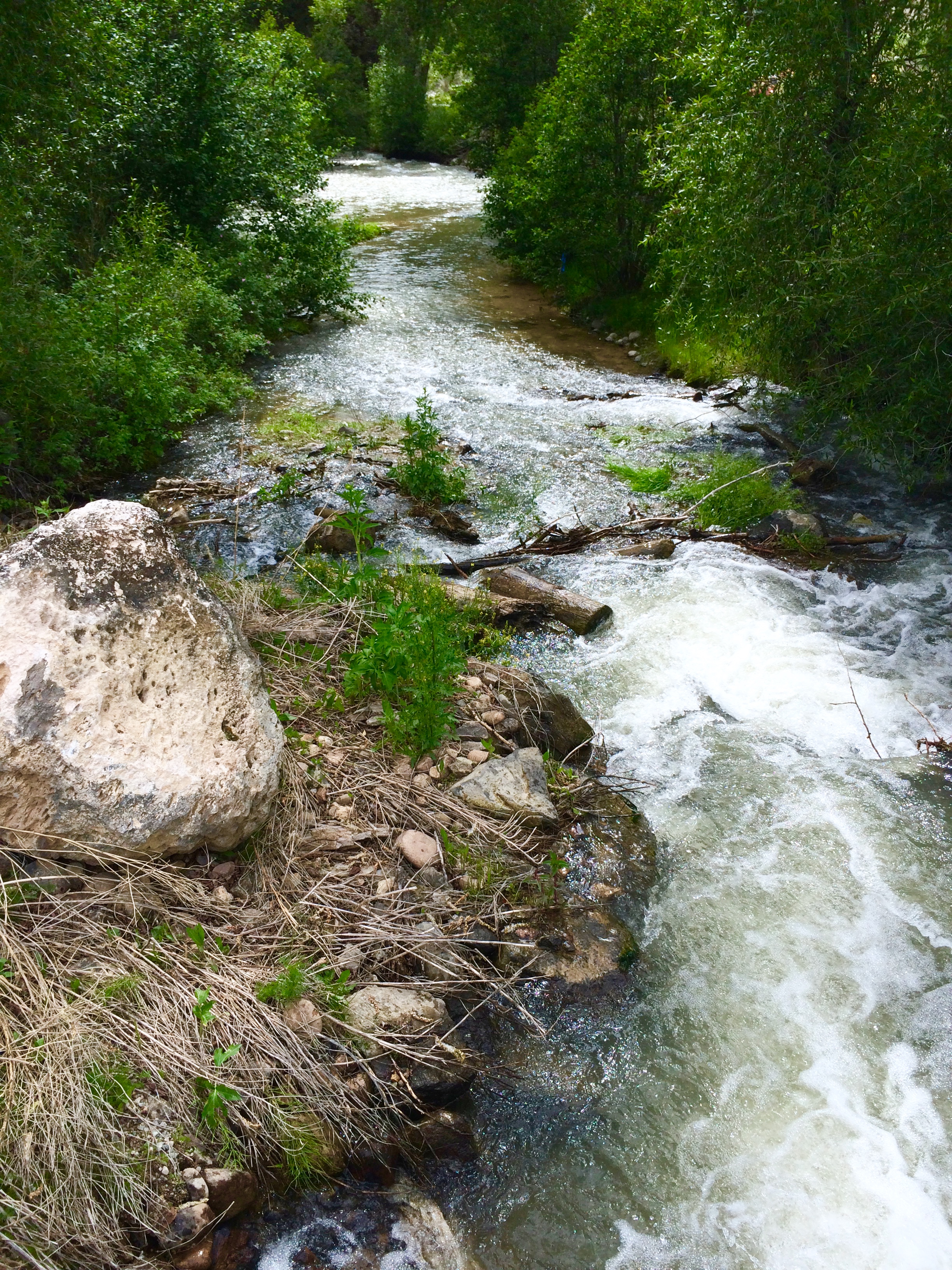 Wading Through Troubled Waters How To Refresh Your Soul Loree Johns
