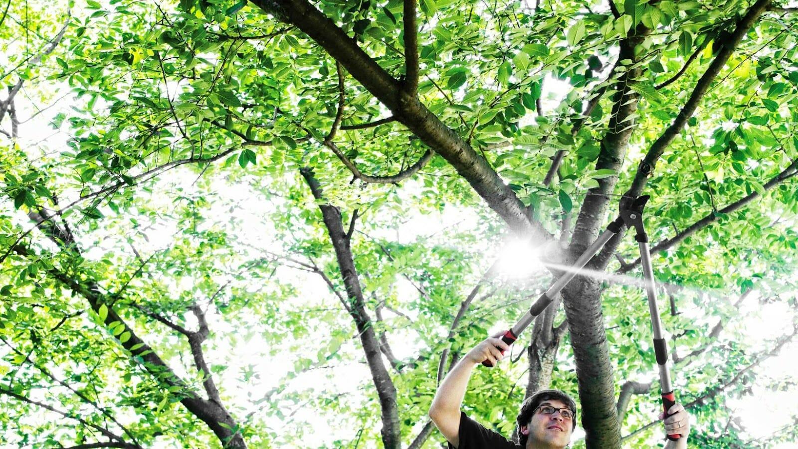 Step by Step Guide to Painting your Dark Wood Trim White Decorator Advice