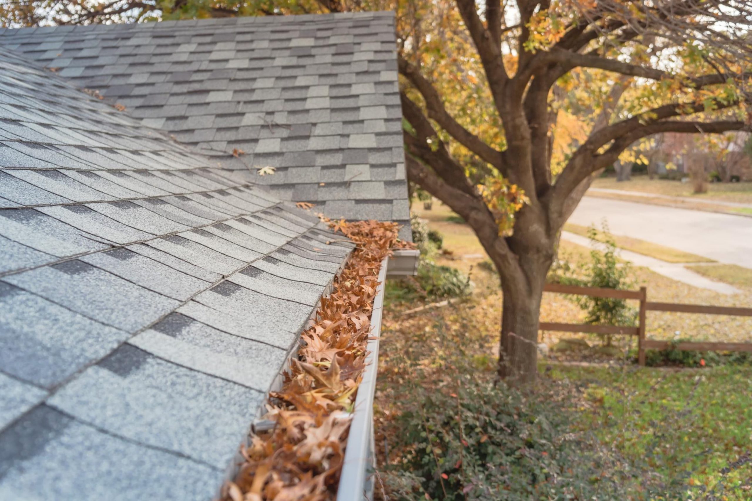How to Get Leaves Off Roof? 10 Ideas & Gutters