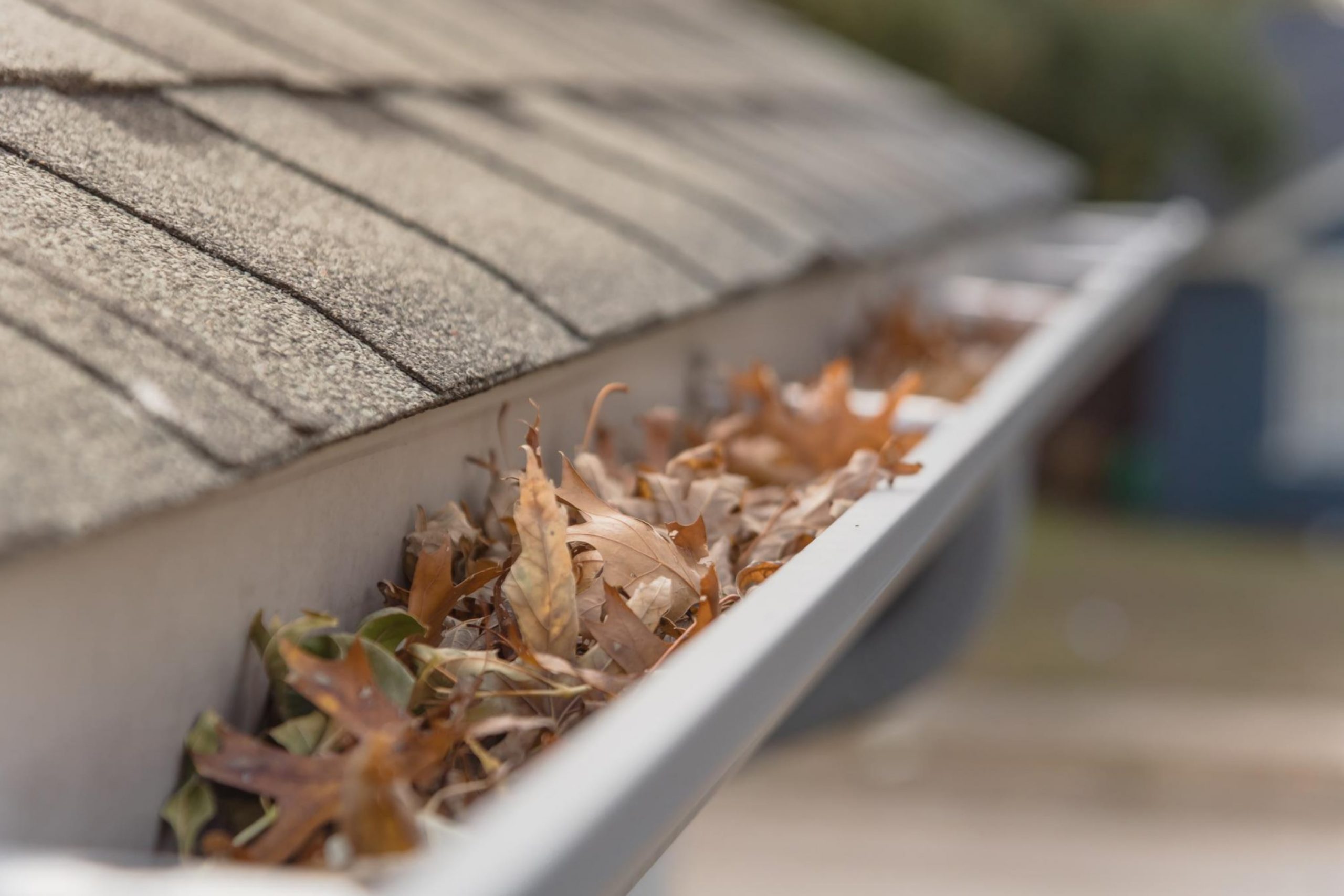 How to Get Leaves Off Roof? 10 Ideas & Gutters
