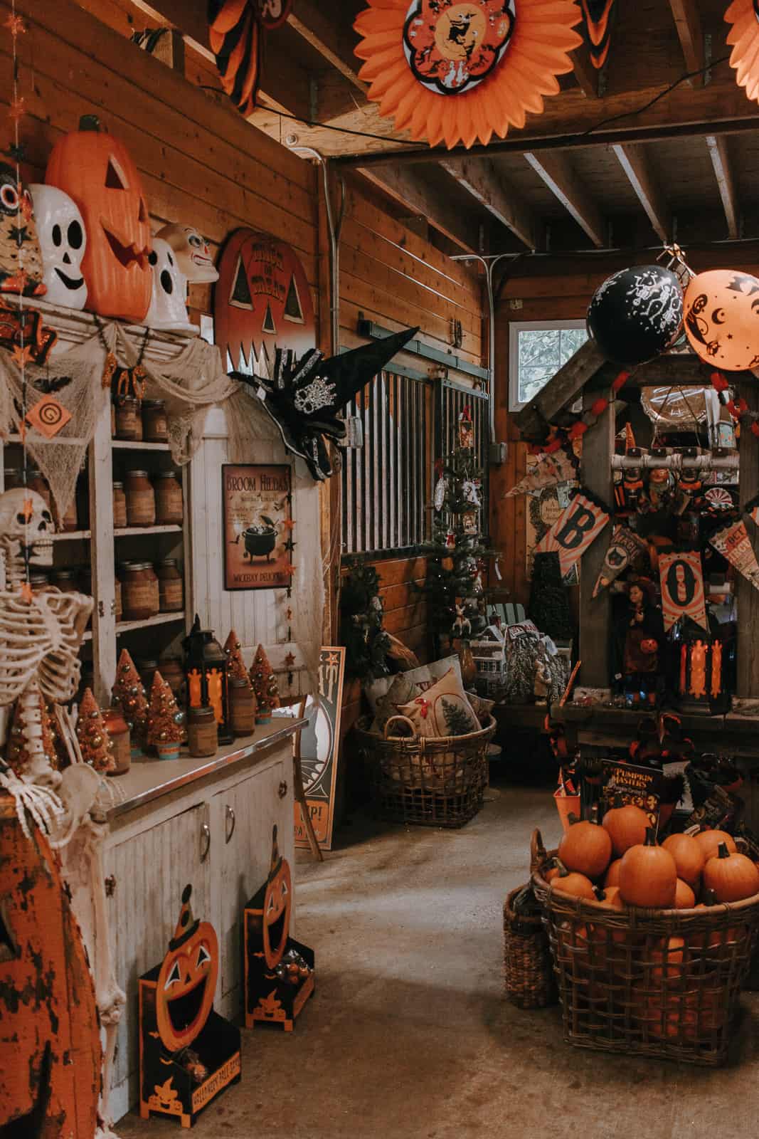Cute Halloween Decor From Amazon To Delight And Spook!