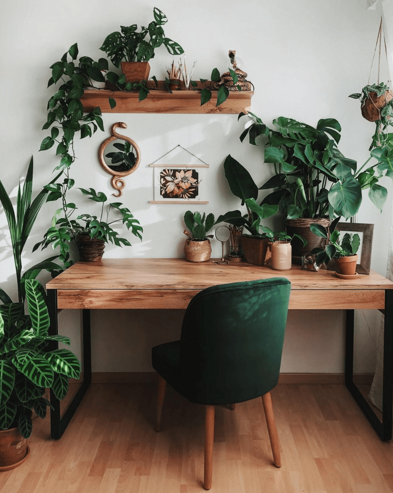 How to Design the Perfect Study Space at Home Without Breaking the Bank