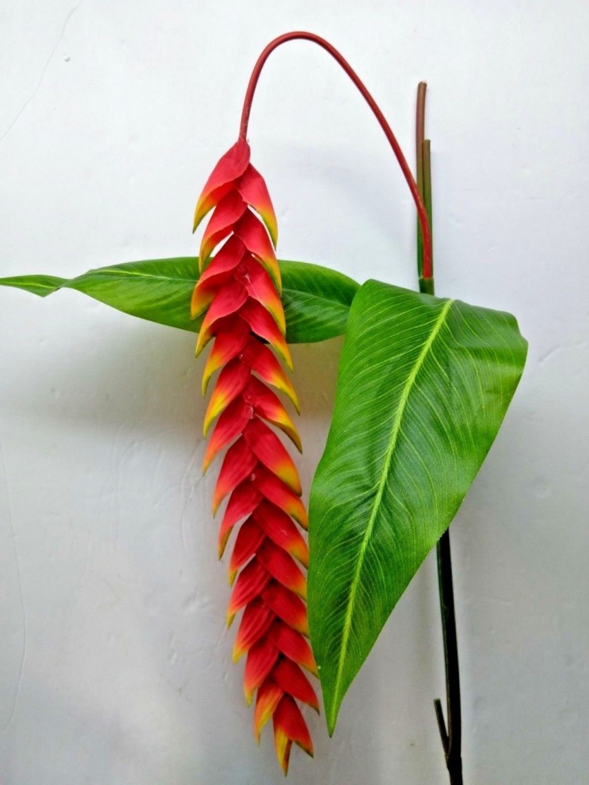 Realistic Artificial Flowers and Best Place to Buy Faux Bouquets Decor Tango