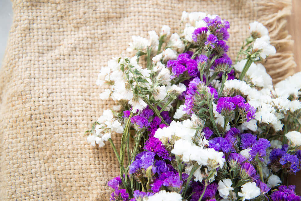 Arrangements for Dried Flowers Options to Consider Decor Tips