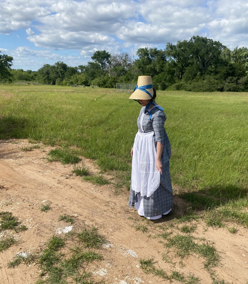 Elinor Dashwood's Dress Goes To A Picnic Decor To Adore