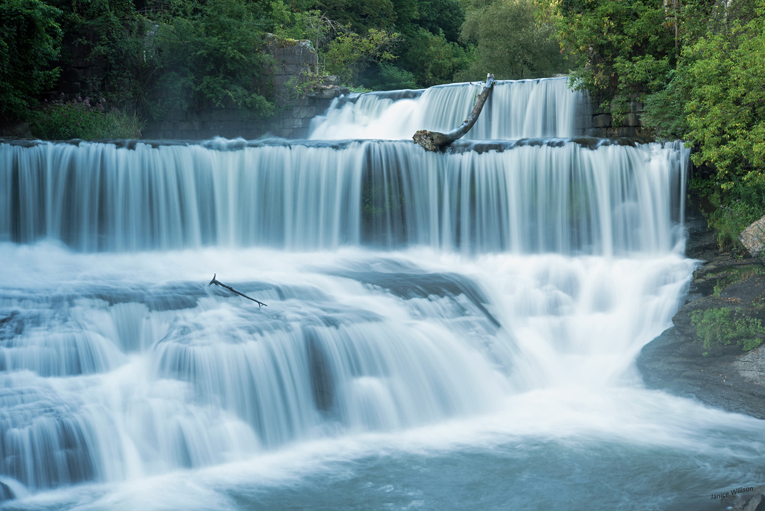 Freshwater Canada’s Lifeblood Decoscience