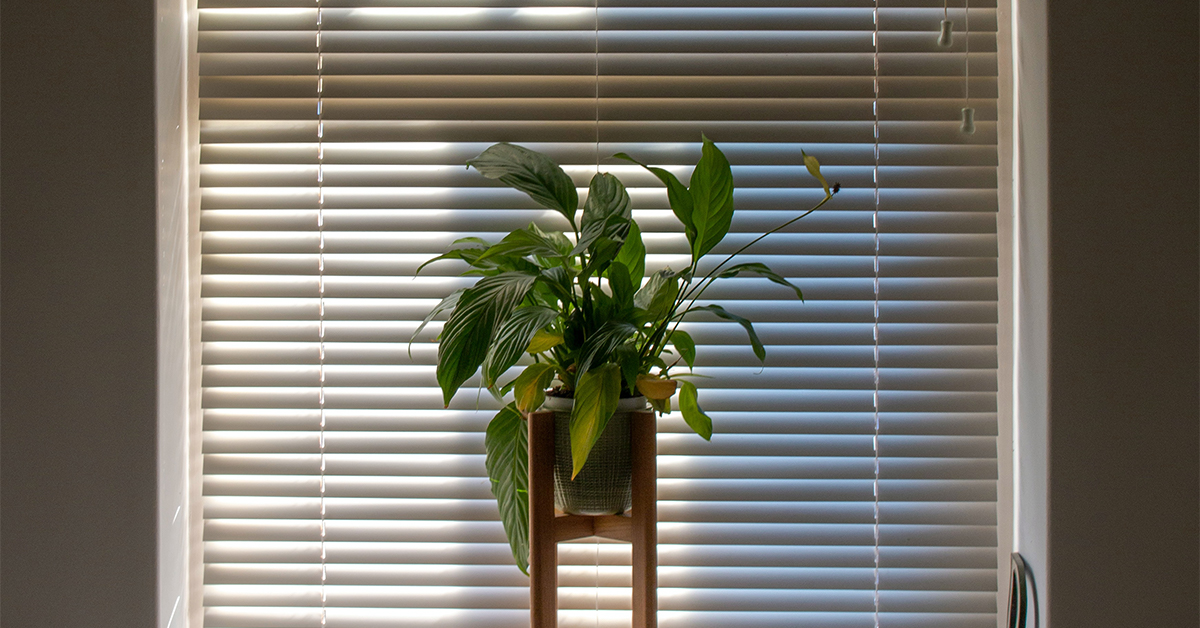 The Sustainability of Window Blinds Exploring Recycling Options