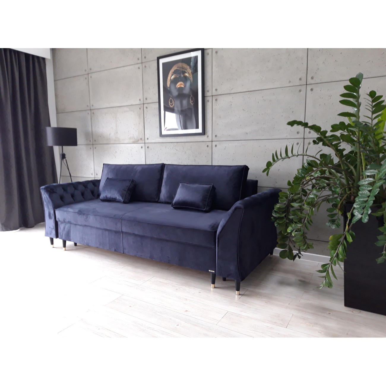 Couches and sofas for the living room modern and comfortable Sofa Bed