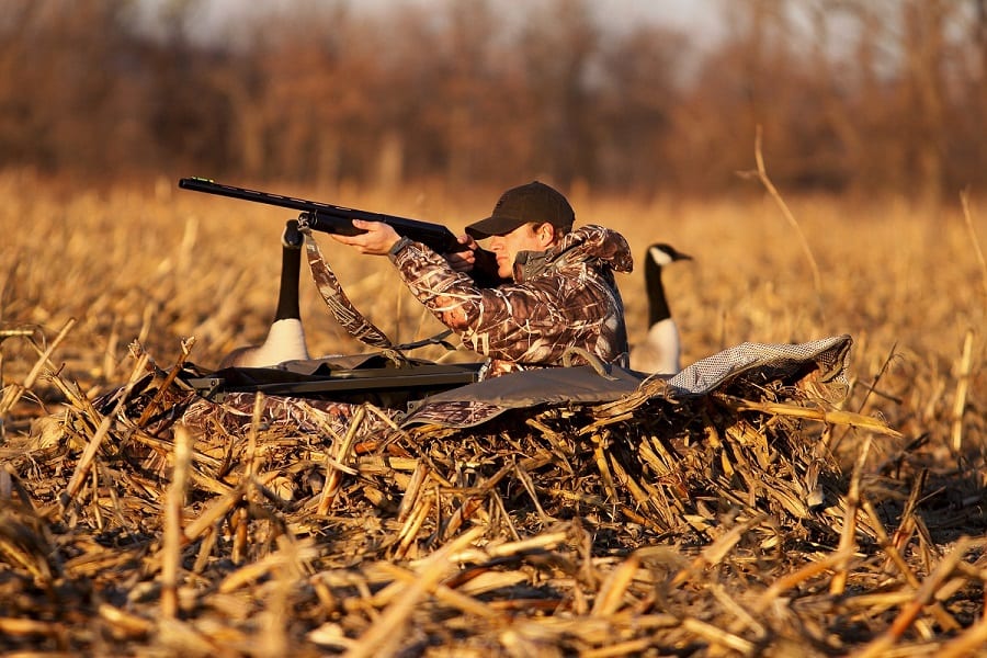Goose Hunting Blinds