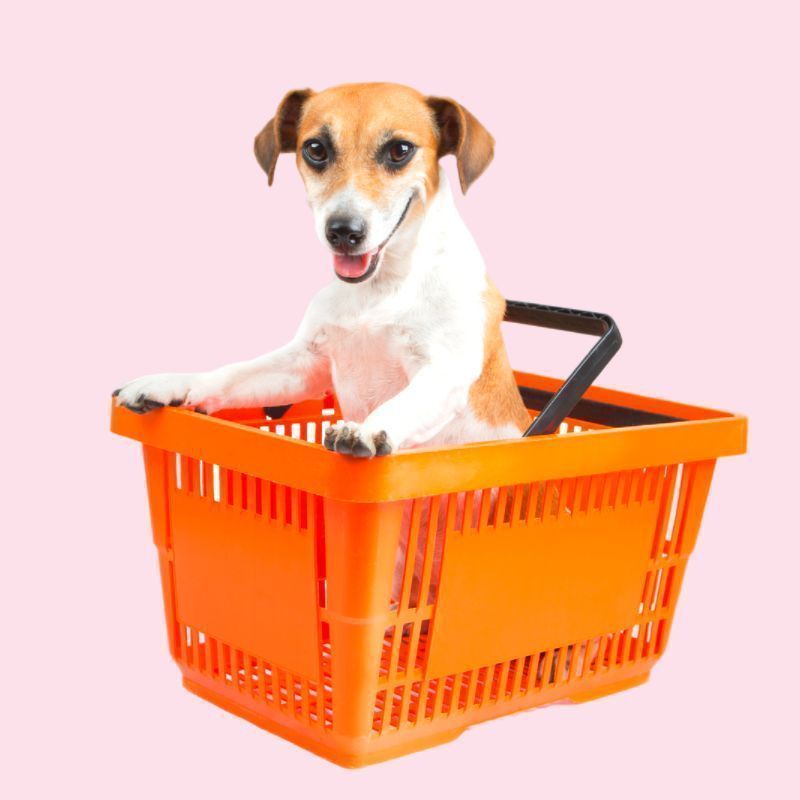 Shop Our Sale Dec's Pets Ireland's Friendliest Pet Store