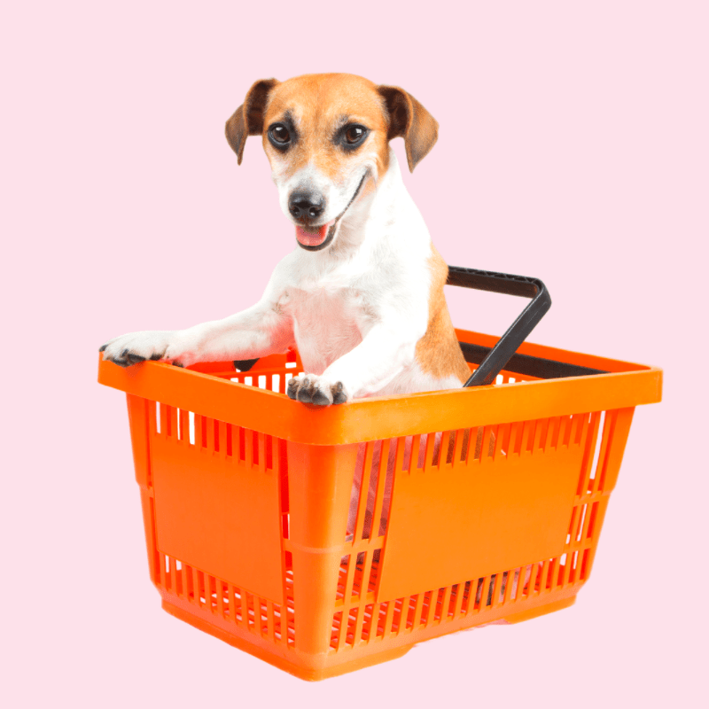 Dec’s Pets Online pet shop based in Wexford Ireland