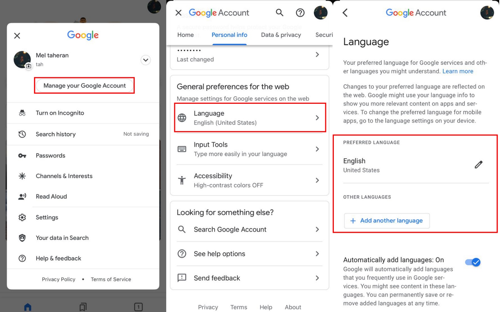 how to change Google language Search, Gmail and Services DED9
