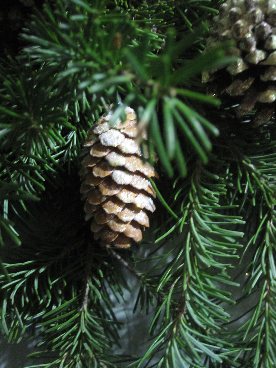 cutting a Christmas tree Fieldwork