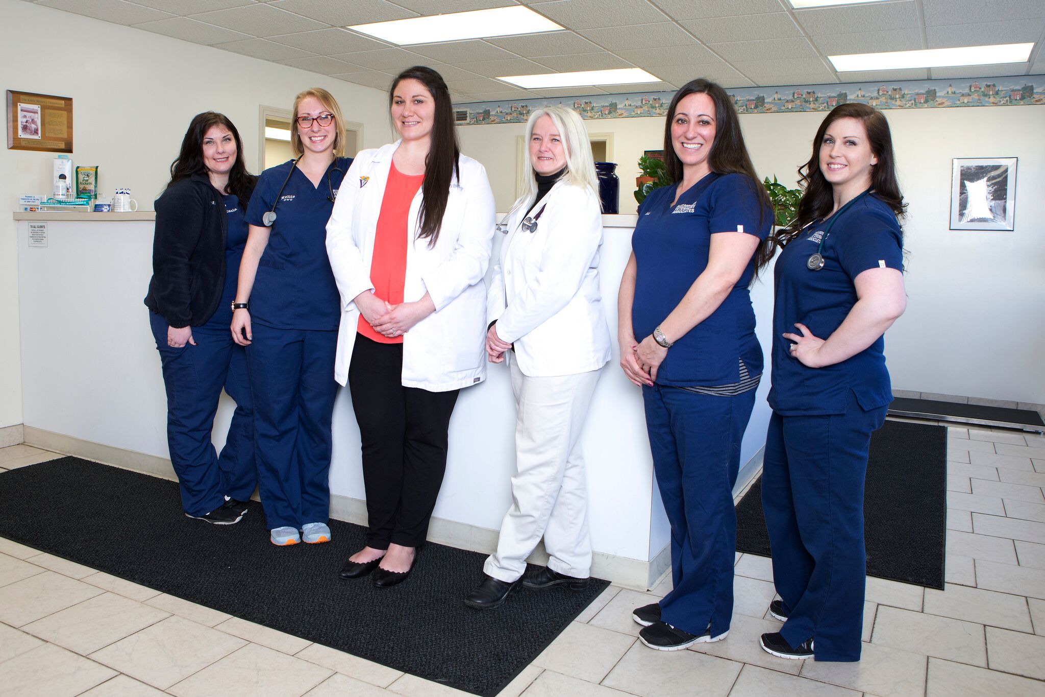 Buzzards Bay Veterinary Associates Dedham Veterinary Associates