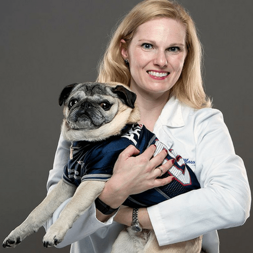 About Dedham Veterinary Associates Dedham, MA Veterinarian