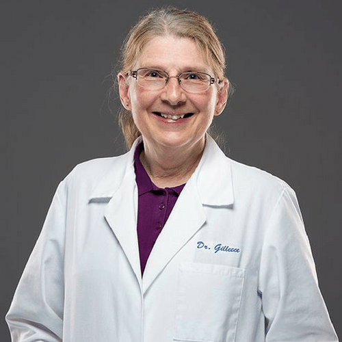About Dedham Veterinary Associates Dedham, MA Veterinarian
