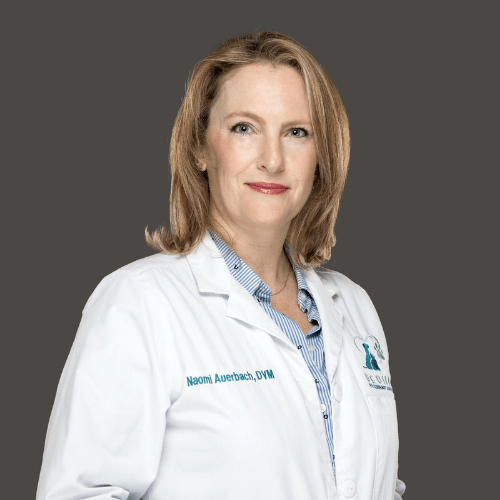 About Dedham Veterinary Associates Dedham, MA Veterinarian