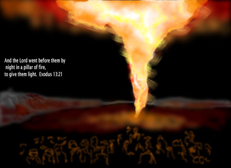 LOST, FOUND, WED! Dee Brestin Ministries