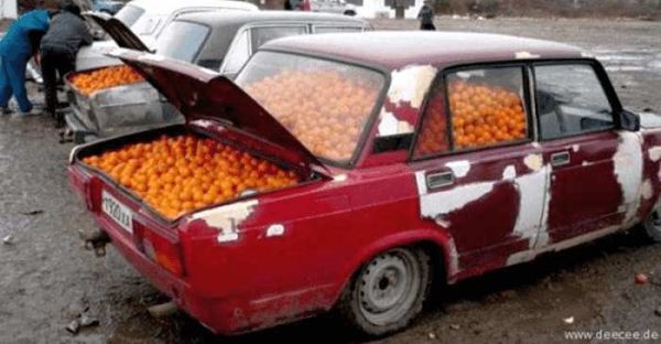 Lustige AutoBilder