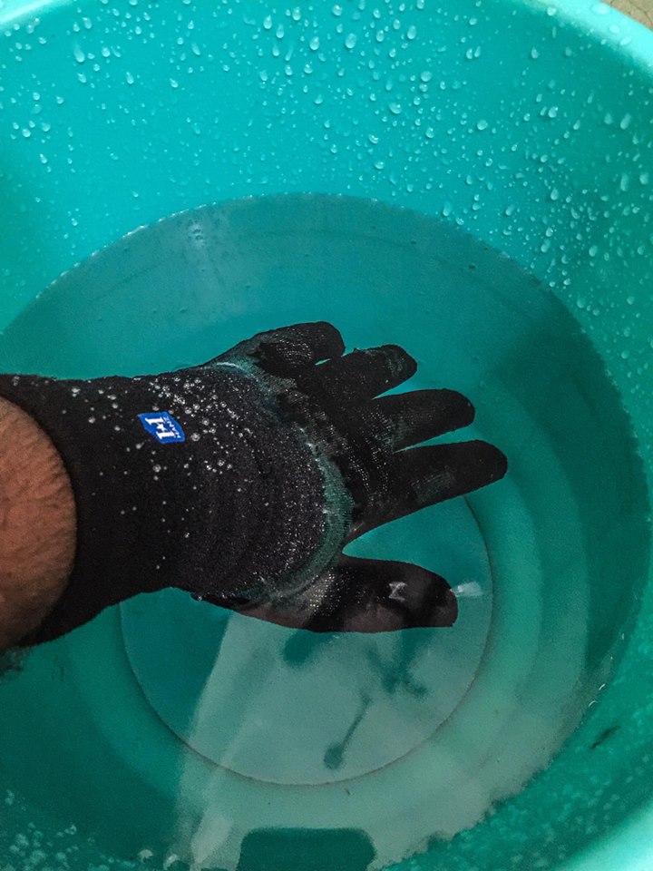 hanz waterproof gloves