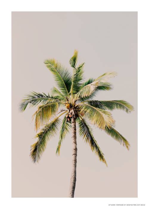 Palm tree poster l posters l