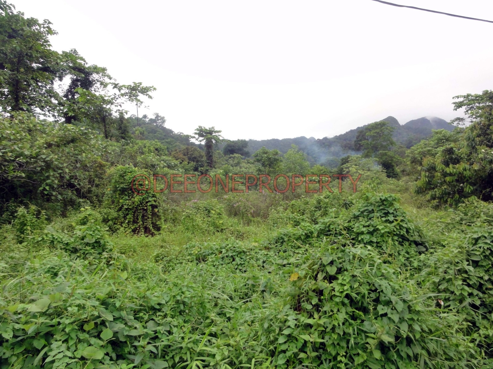 Huge Land for Sale North West Coast, Koh Chang