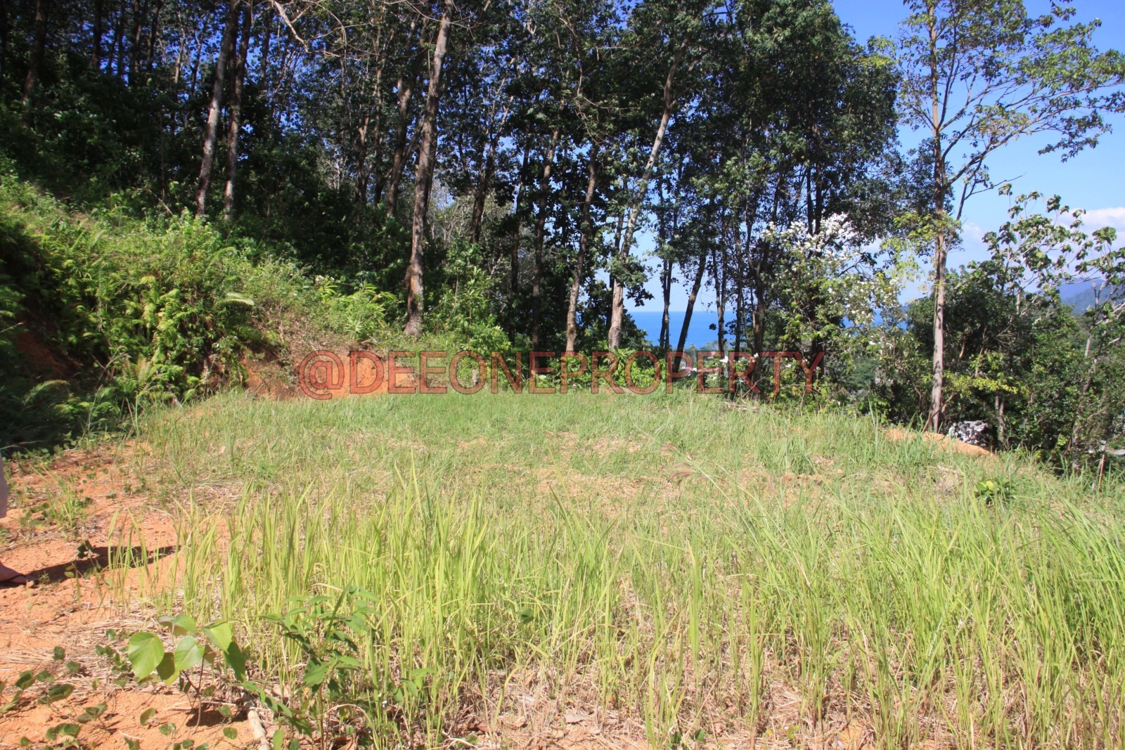 Beautiful Sea View Land for Sale North West Coast, Koh Chang