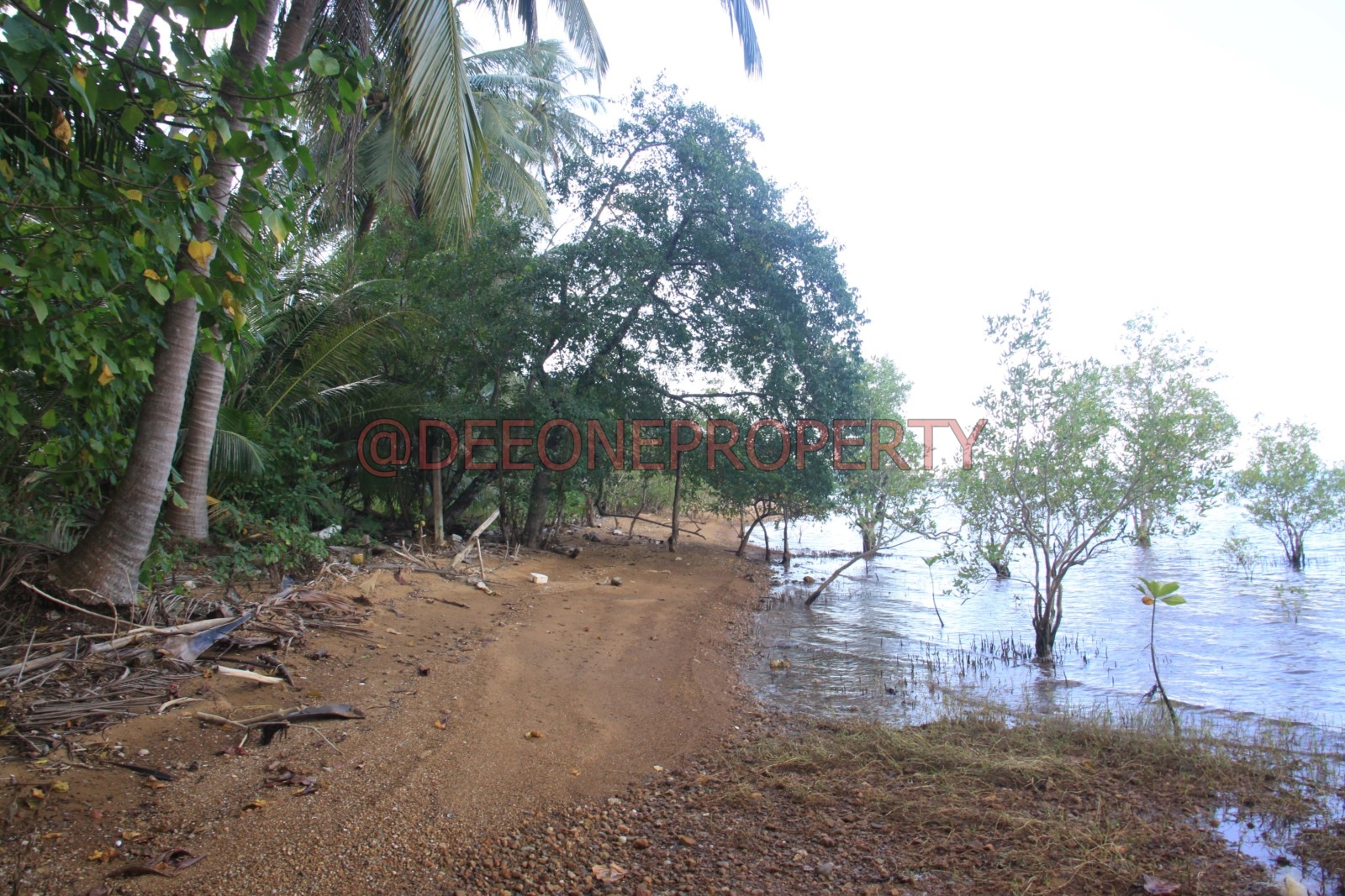 2+ Rai Land Beachfront for Sale North East Coast, Koh Chang