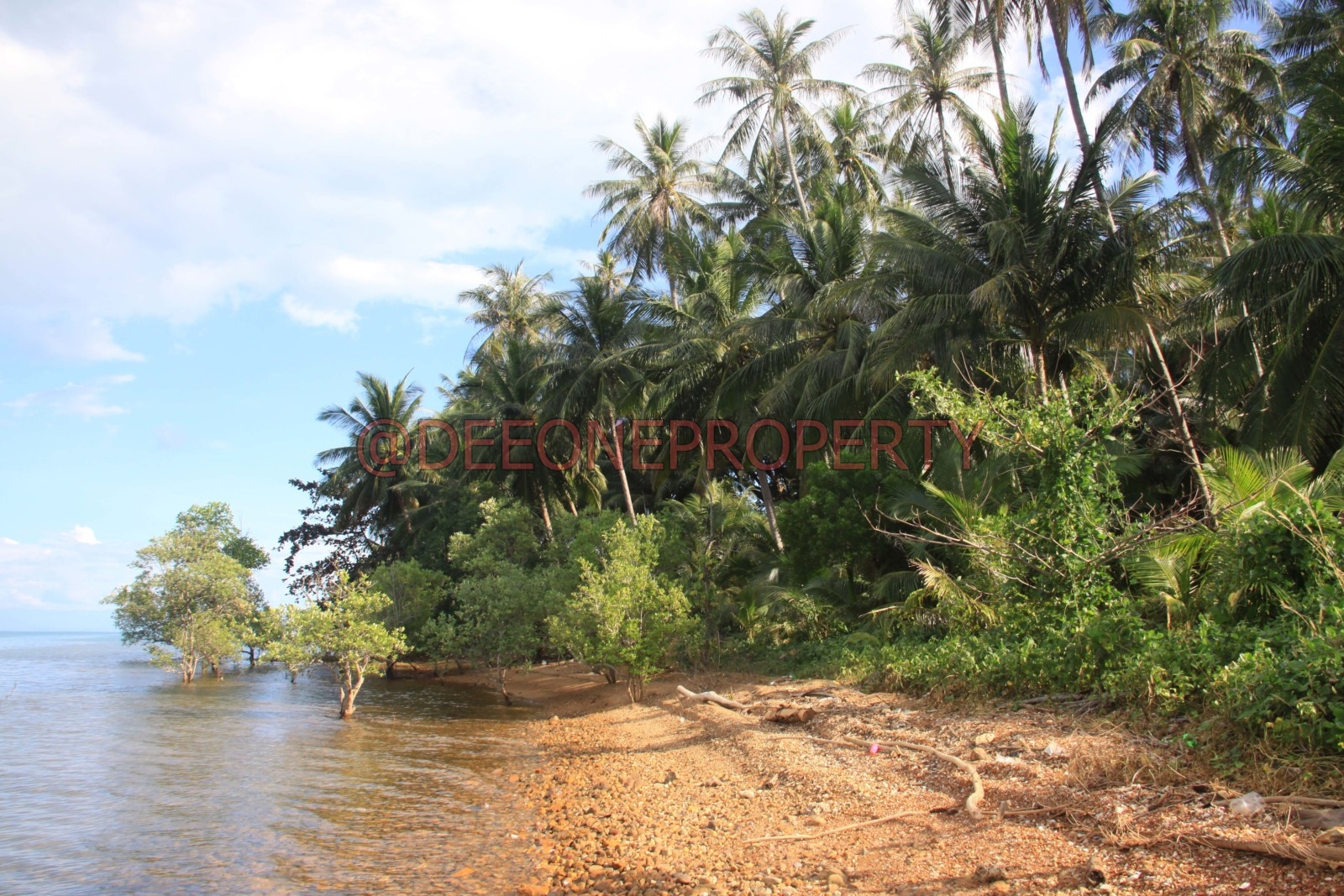 2+ Rai Land Beachfront for Sale North East Coast, Koh Chang