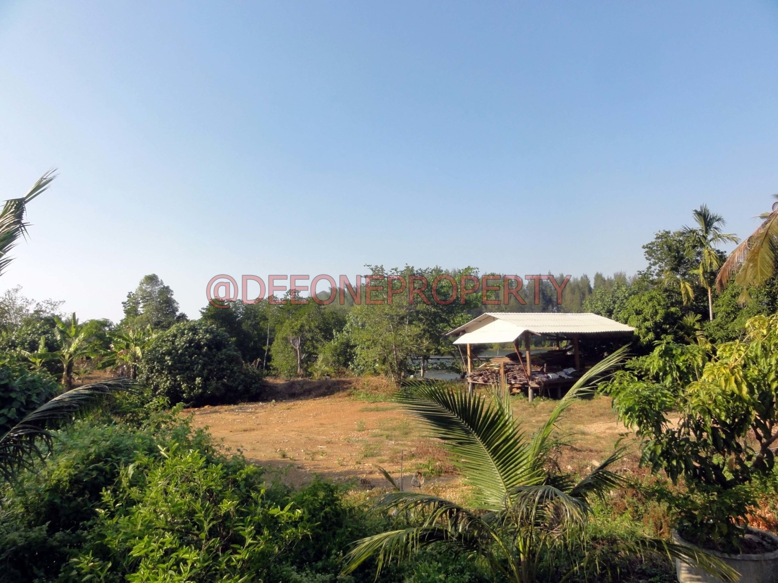 10 Rai Sea Front Land for Sale North East Coast, Koh Chang
