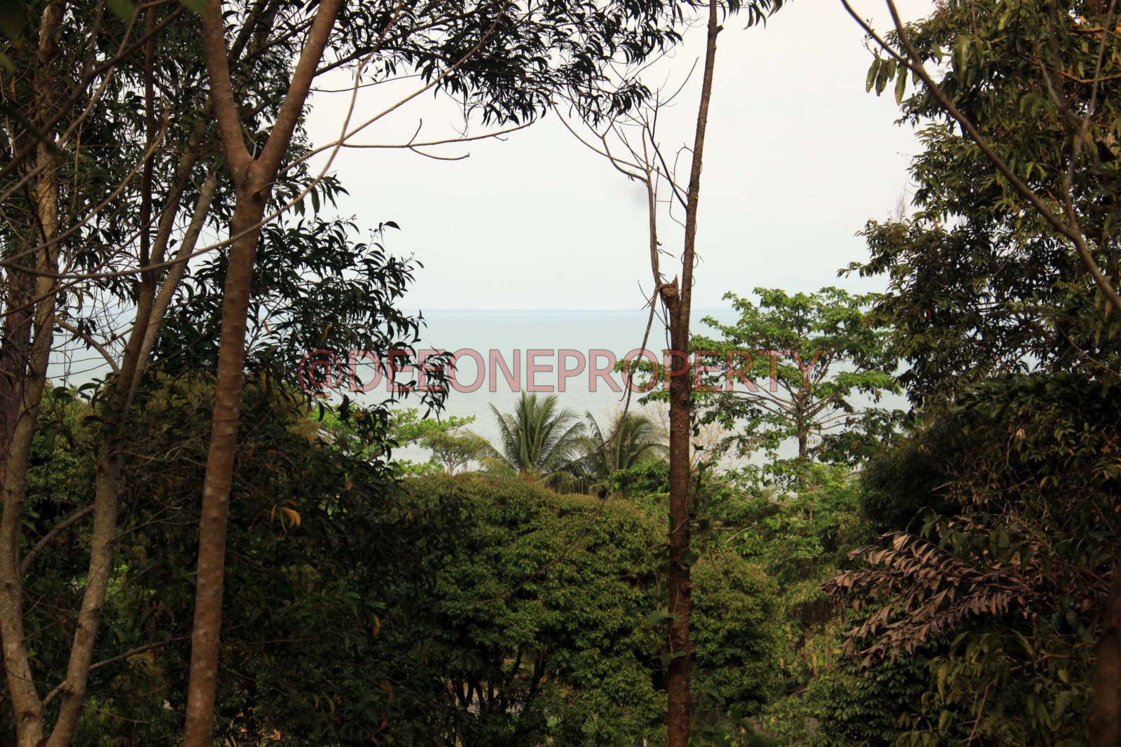 2 Rai Sea View Land on Hillside for Sale North East Coast, Koh Chang