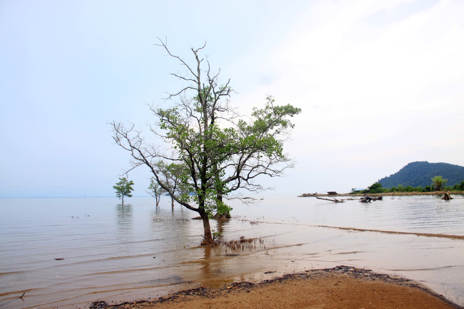 20+ Rai Land with Sea Front and Riverside for Sale North East Coast