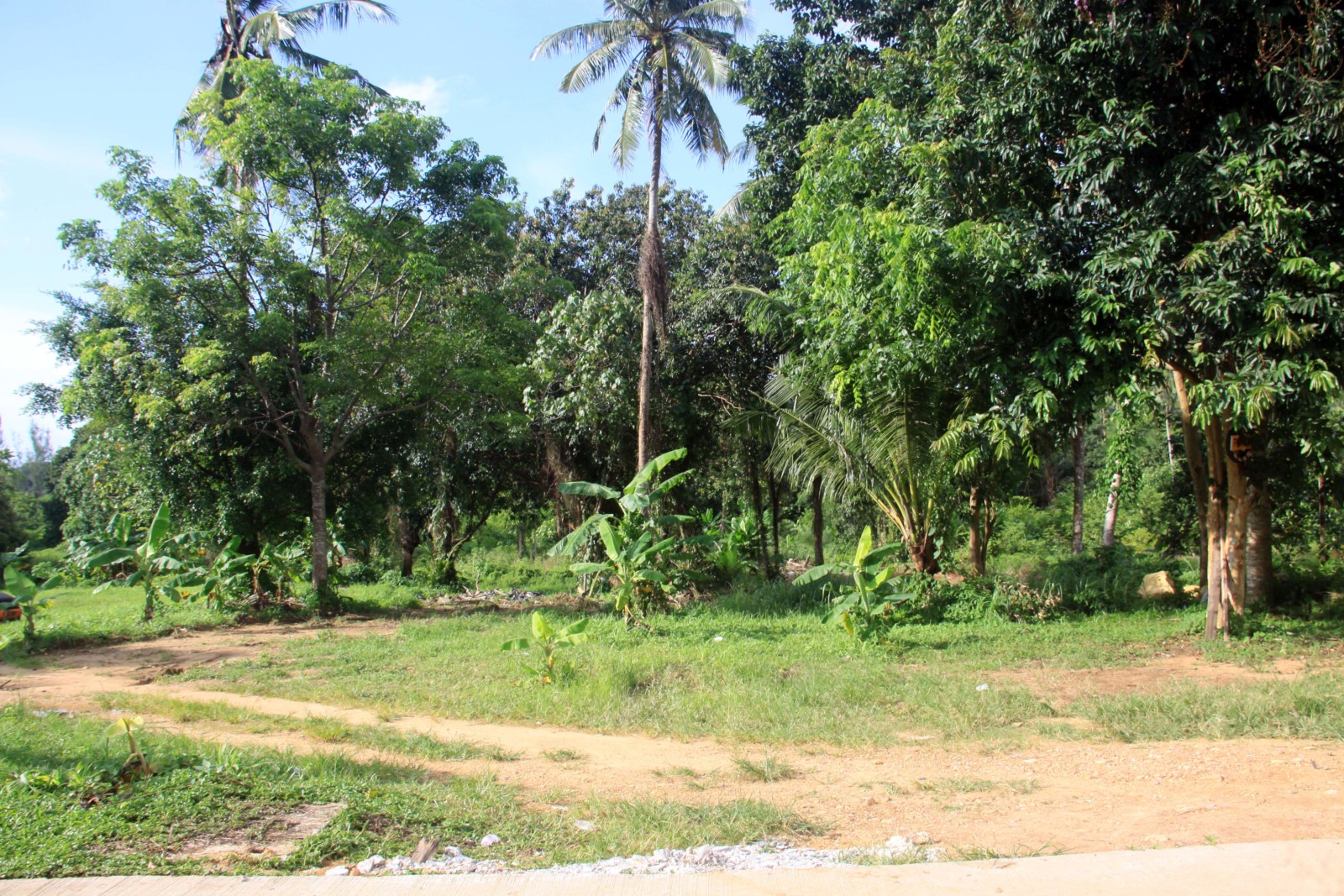 3 Small House Plot available for Sale North East Coast, Koh Chang
