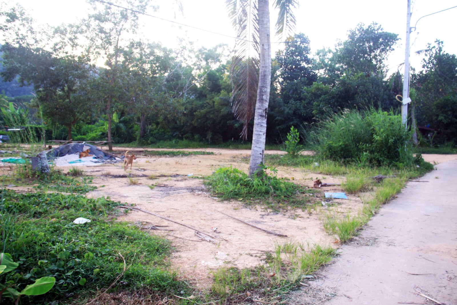 Small House Plot Ready to Build for Sale North East Coast, Koh Chang